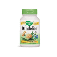 Dandelion