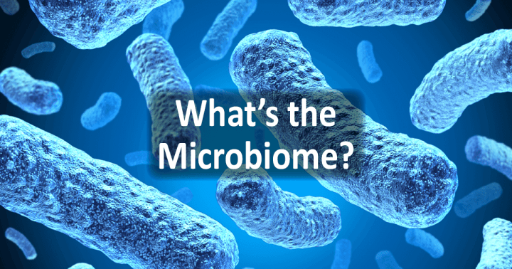 whats-the-microbiome