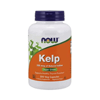 Kelp