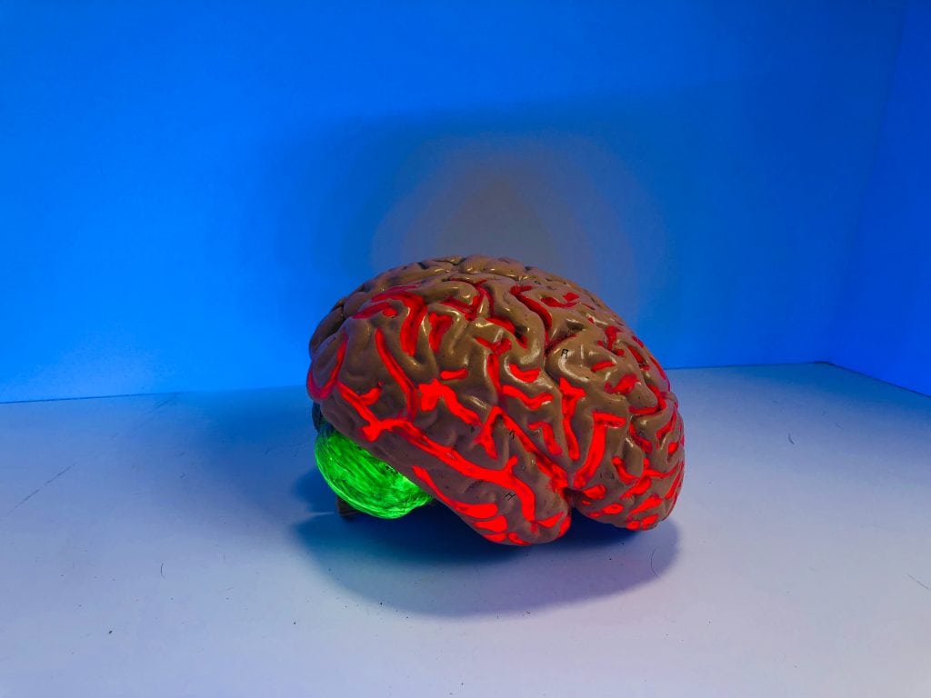 Untapped-Focus-Brain-Features