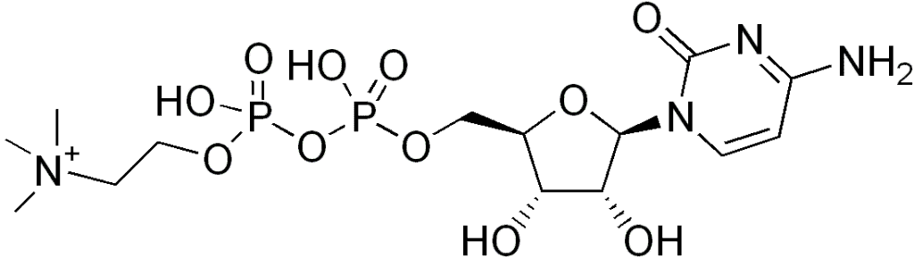 Choline DIAGRAM