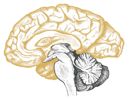 Nootroo Gold and Silver for brain