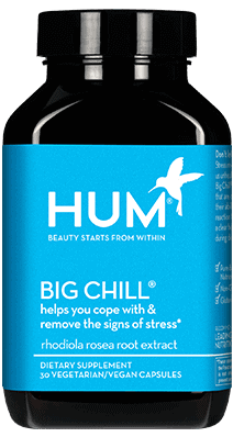 Hum Big Chill
