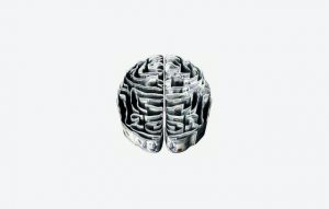 Brain Health Best Supplements