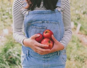 New Chapter Probiotics For Gut Health
