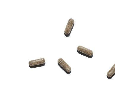 New Chapter Probiotics