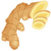 Ginger