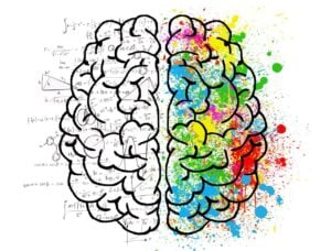 the Brain-Gut Axis