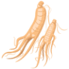 Ginseng