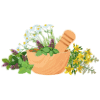Herbs