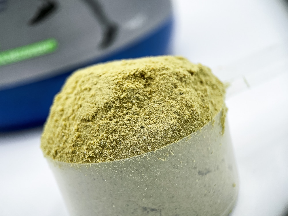 High Impact Plant Protein Powder Scoop