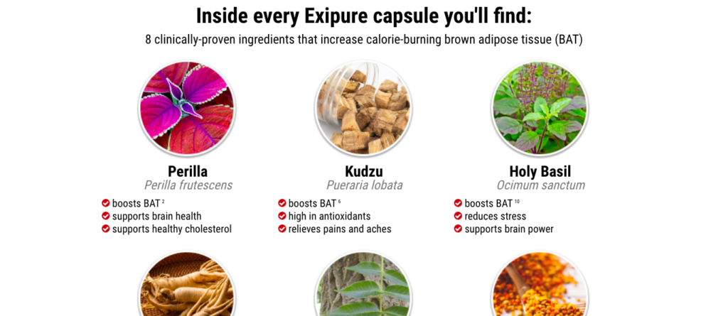 exipure ingredients