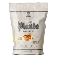plant based protein