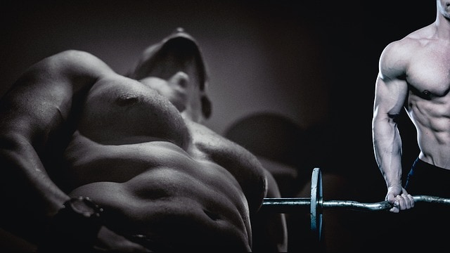 p6 ultimate testosterone booster muscle pump