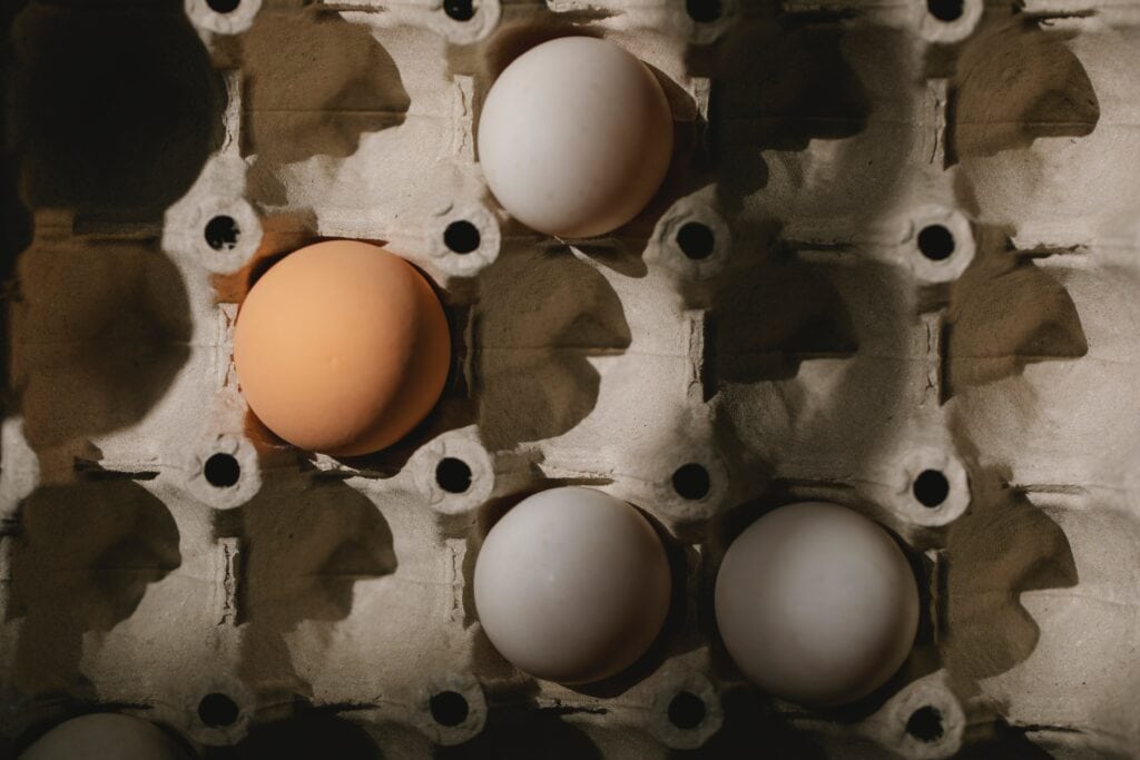 Food Desert Eggs